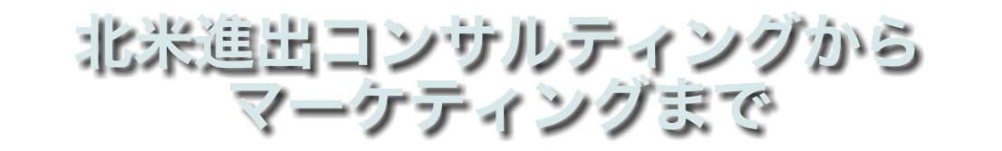 北米進出コンサルティングから マーケティングまで